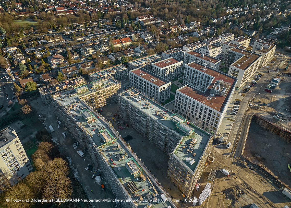 16.01.2023 - Alexisquartier und Pandion Verde